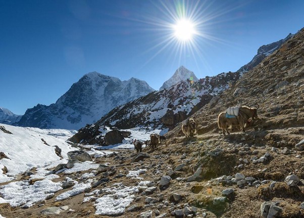 Everest base camp trek